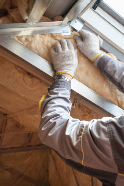 Best Insulation Installation Services in Warson Woods, MO