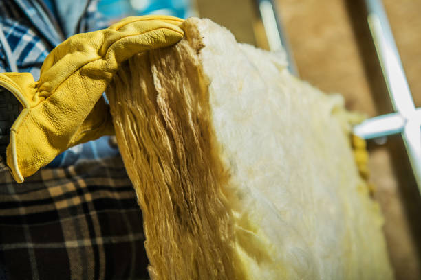 Best Commercial Insulation in Warson Woods, MO