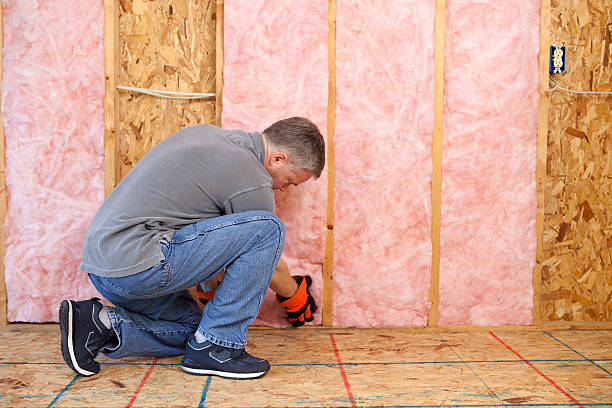 Professional Insulation Contractor in MO